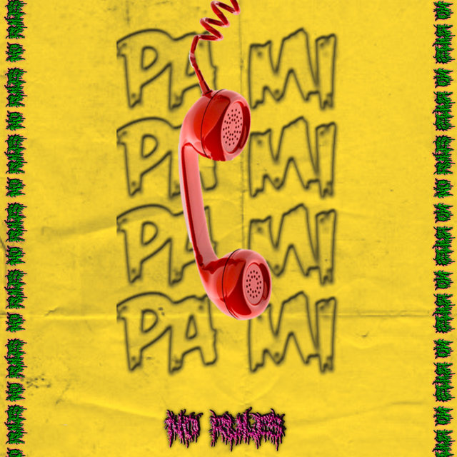 PA MI