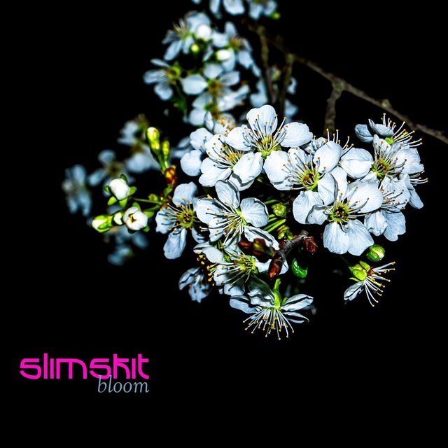 Bloom