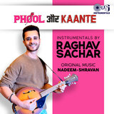 Maine Pyar Tumhi Se Kiya Hai (Instrumental)