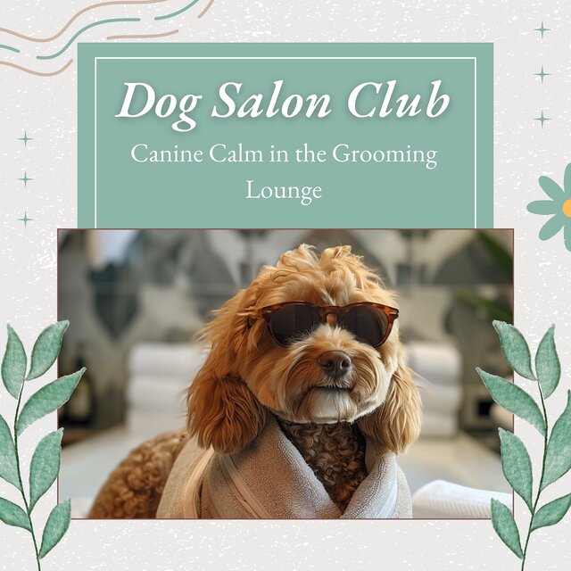Canine Calm in the Grooming Lounge