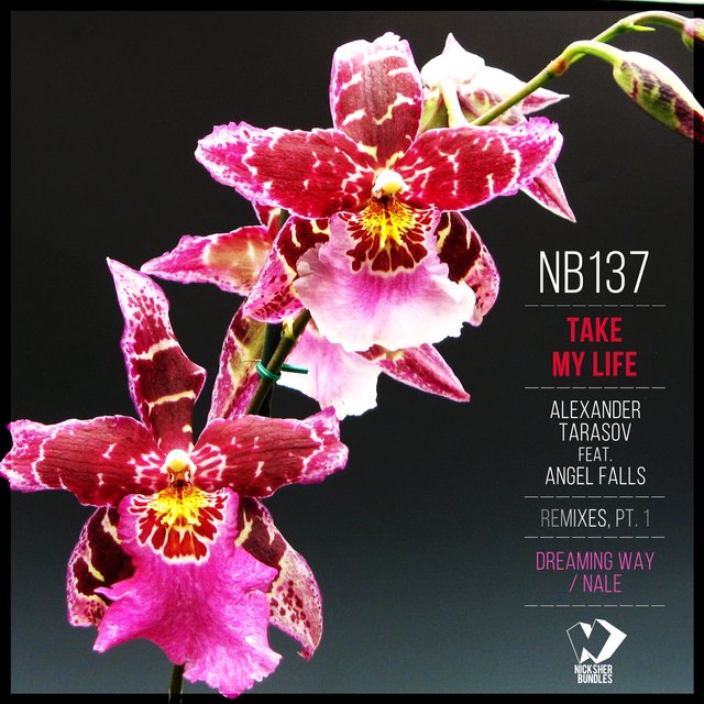 Take My Life: Remixes, Pt. 1