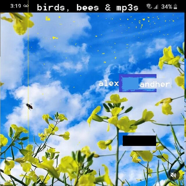 Birds, Bees & Mp3s