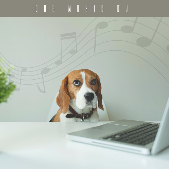 Calming Music For Dogs Home Alone