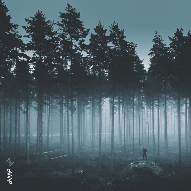 Beyond the Forest