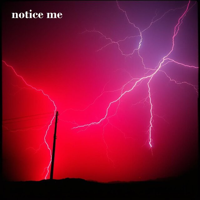 notice me