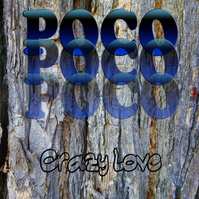 Crazy Love