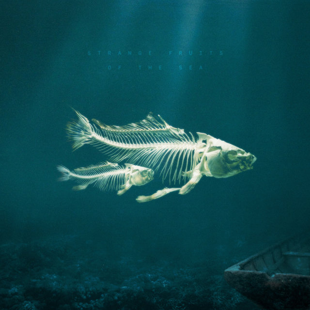 Strange Fruits Of The Sea