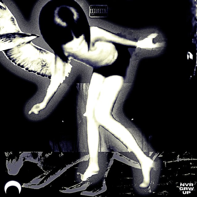 Lucid Dreamz