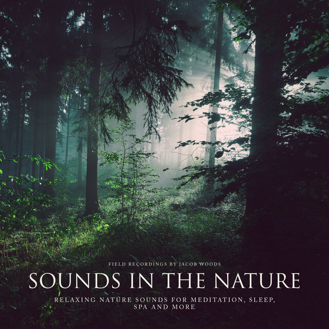 Sounds in the nature