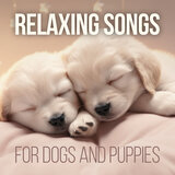 String Quartet No. 1 in E-Flat Major, Op. 12: II. Canzonetta. Allegretto