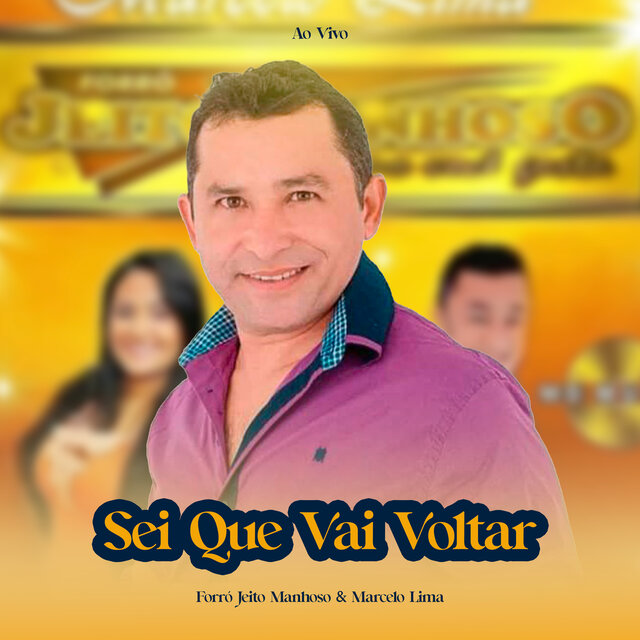 Sei Que Vai Voltar