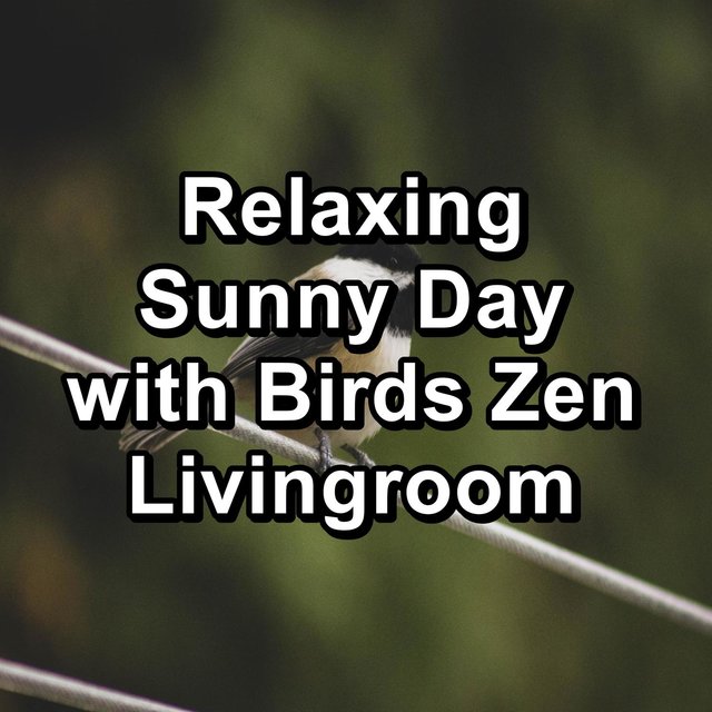 Relaxing Sunny Day with Birds Zen Livingroom