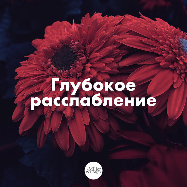 Глубокое расслабление - Релакс музыка красивая и успокаивающая для отдыха и настроения