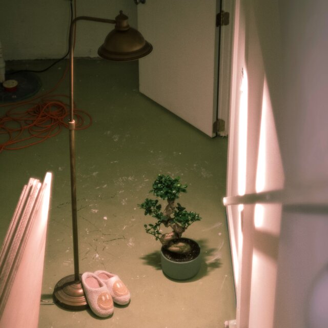 The Basement