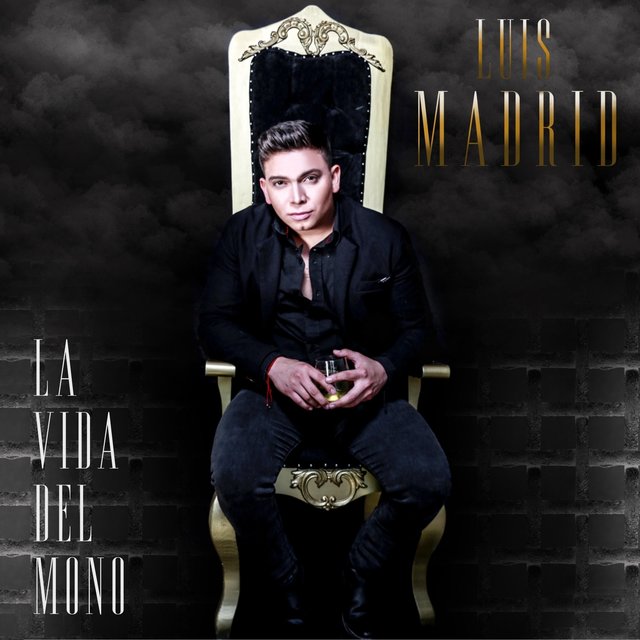 La Vida del Mono