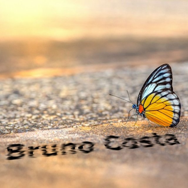 Songs from Fábio Francisco - Pop Background Version