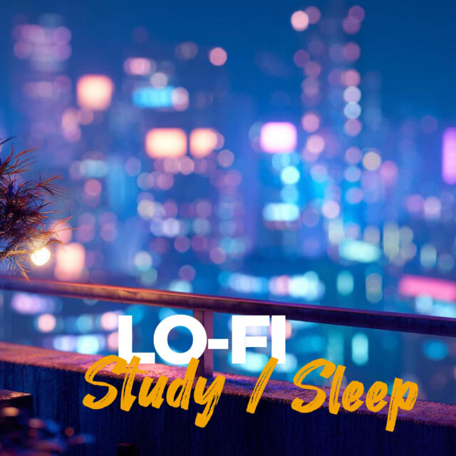 Night Study Lofi full of vibes
