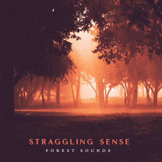 Straggling Sense