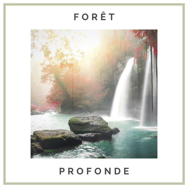 Forêt profonde: Musique thérapeutique pour le bien-être avec sons de la forêt tropicale, oiseaux, eau et pluie
