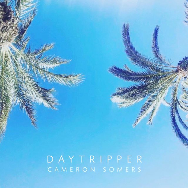Daytripper