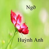Ngỡ 2