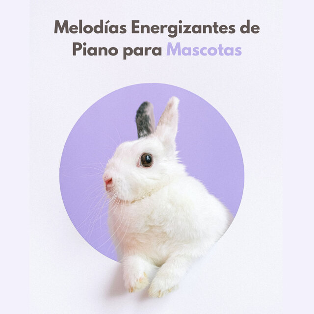 Melodías Energizantes De Piano Para Mascotas