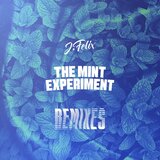 The Love That Hurts (Jack Chi Remix)