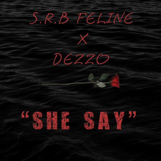 She Say (feat. S.R.B Feline & Dezzo)