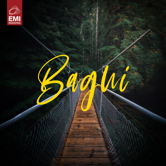 Baghi