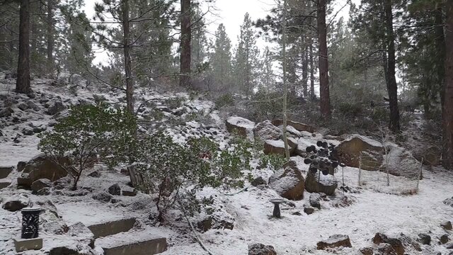 Melting Snow