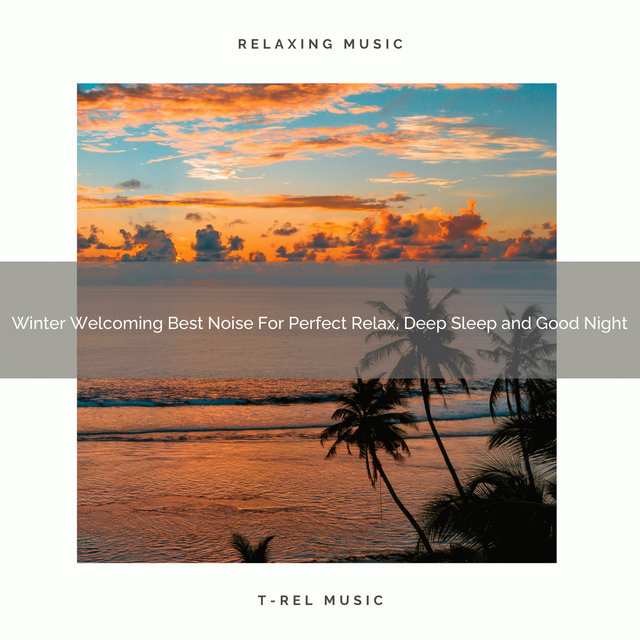 Winter Welcoming Best Noise For Perfect Relax, Deep Sleep and Good Night