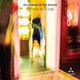 Cover art for album Prism-a-Ning by According to the Sound, Patrick Case, Adam Parry-Davies