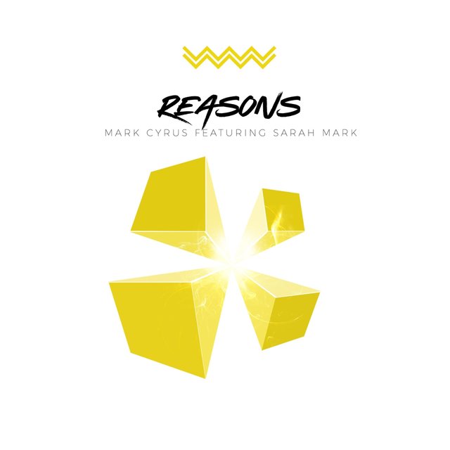 Reasons