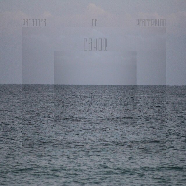 Prisoner Of Perception