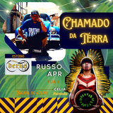 Chamado da Terra - Celia Xacriabá