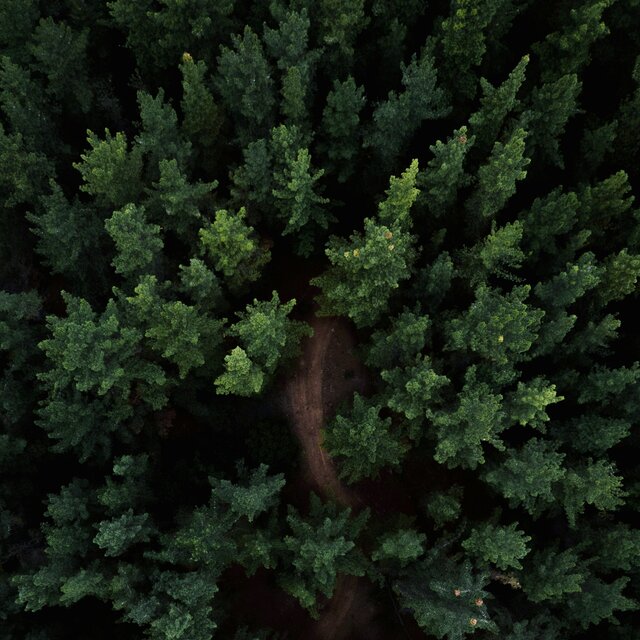 空灵琴音|老歌长笛与竖琴纯音乐④|秀发如微风|清音如月泉|温有情|暖如爱