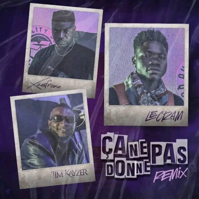 Ça ne donne pas remix