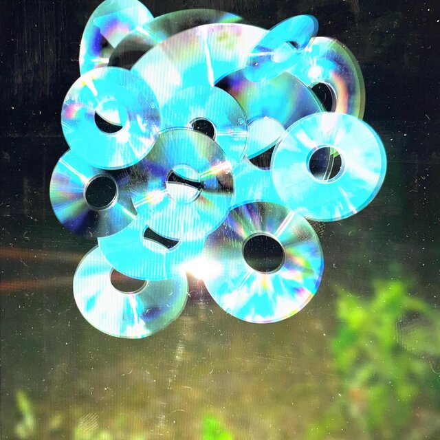Disc