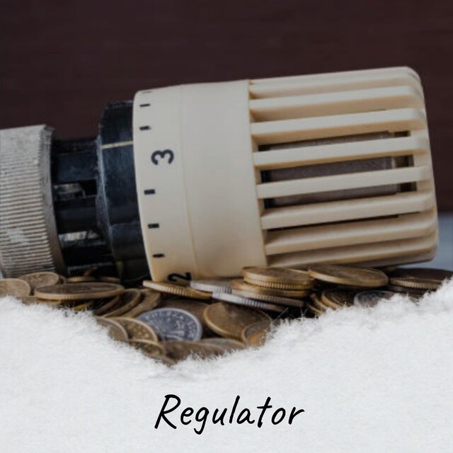 Regulator