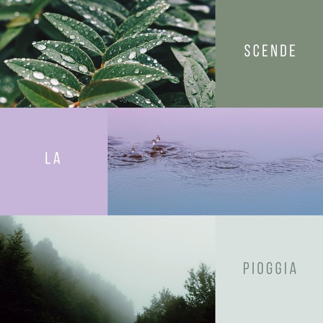 Scende la pioggia: Suoni della natura per guarigione, meditazione, dormire