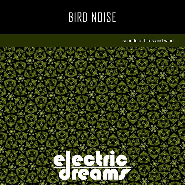 Bird Noise