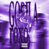 Gorila Roxo
