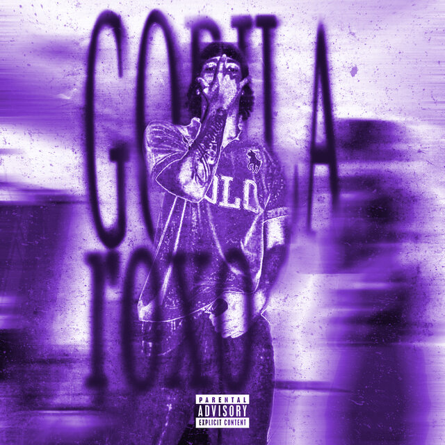 Gorila Roxo