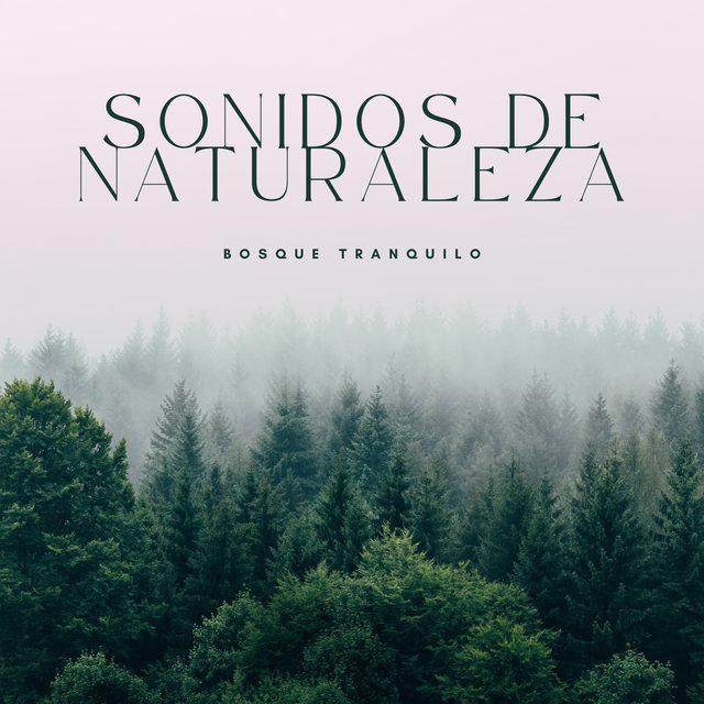 Sonidos De Naturaleza: Bosque Tranquilo