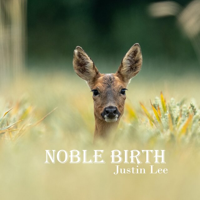 Noble Birth