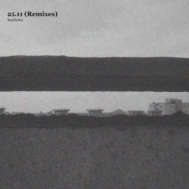 25.11 (Remixes)
