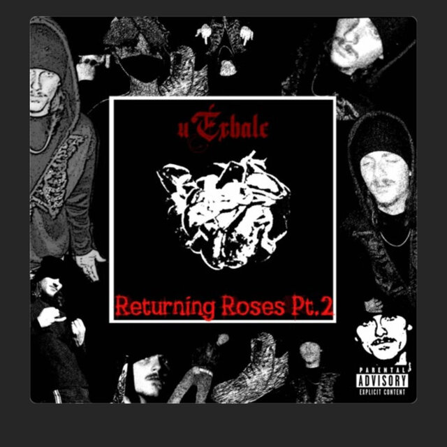 Returning Roses Pt. 2