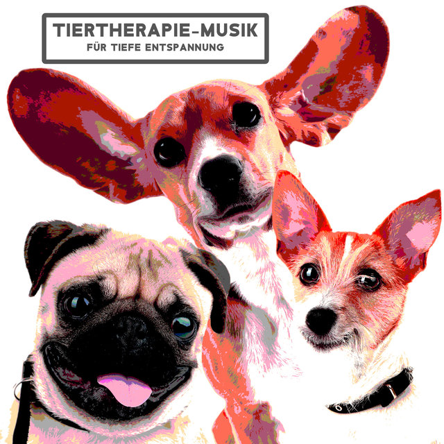 Tiertherapie-Musik für tiefe Entspannung