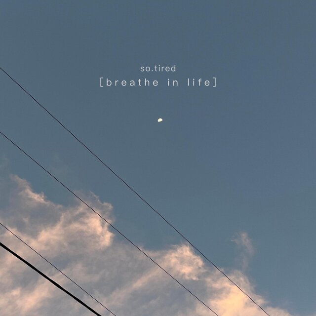 Breathe in Life