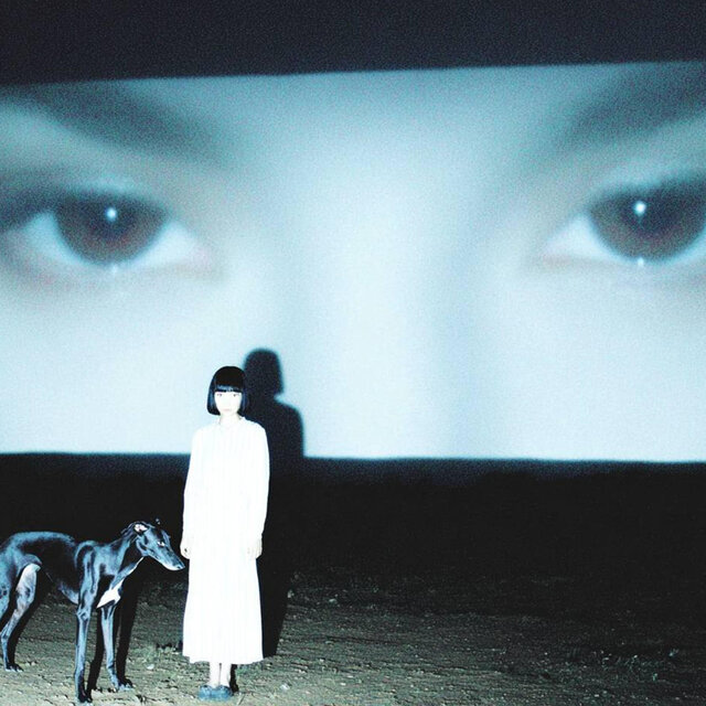 greyhound